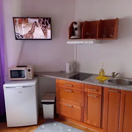 Elena Flat Lavendel Zentrum *