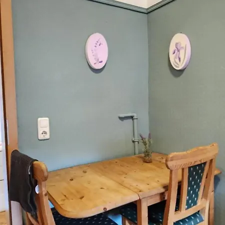 Elena Flat Lavendel Zentrum Διαμέρισμα Ντούισμπουργκ