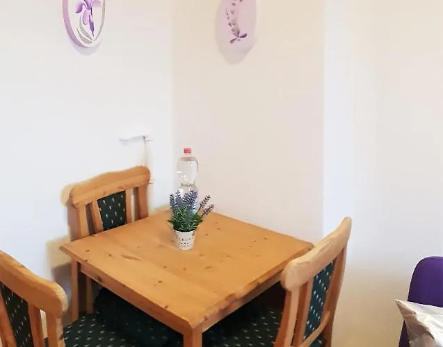 Elena Flat Lavendel Zentrum Duisburg