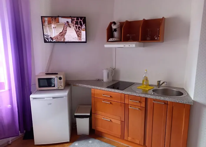 Elena Flat Lavendel Zentrum *