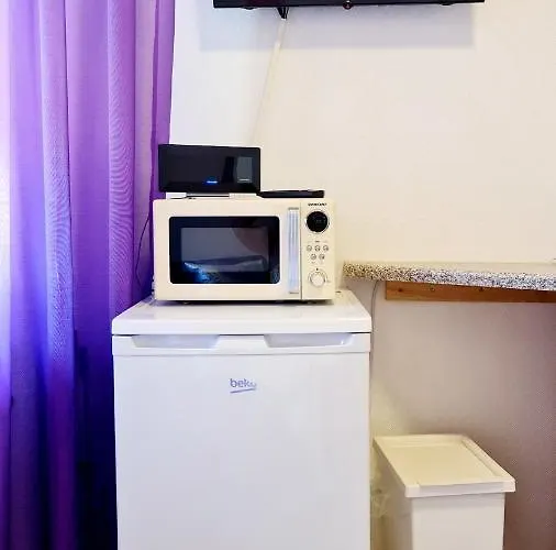 Elena Flat Lavendel Zentrum